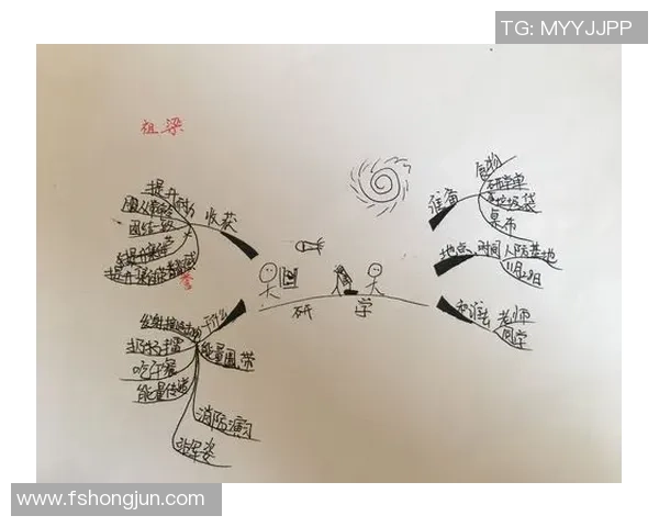 我在阳光下追逐梦想的脚步学会了踢足球的快乐与成长